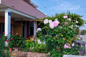 Apartment Vanja, Stari Grad